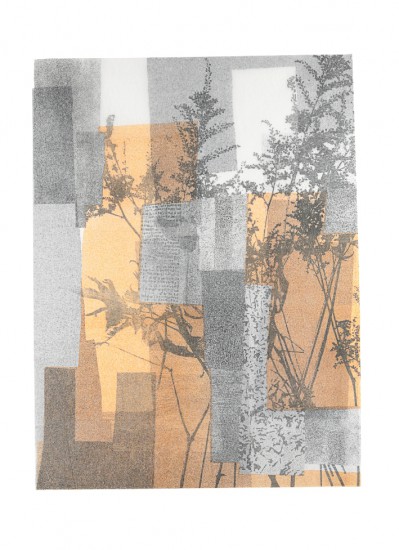 Herbārium VI | litografia | 56 x 38 cm | 2016