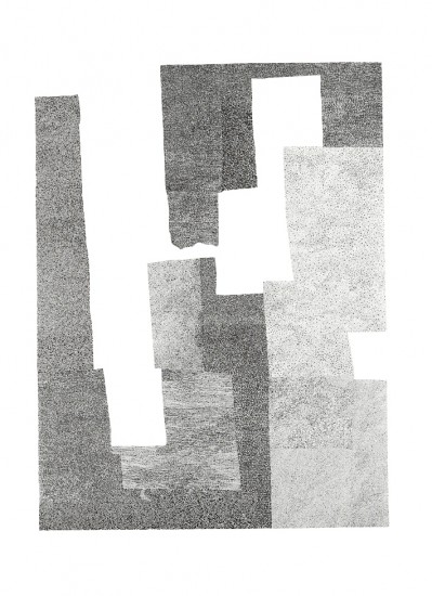 Herbārium VII | litografia | 36 x 49 cm | 2016