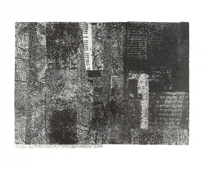 Herbārium VIII | litografia, sitodruk | 65 x 59 cm | 2016