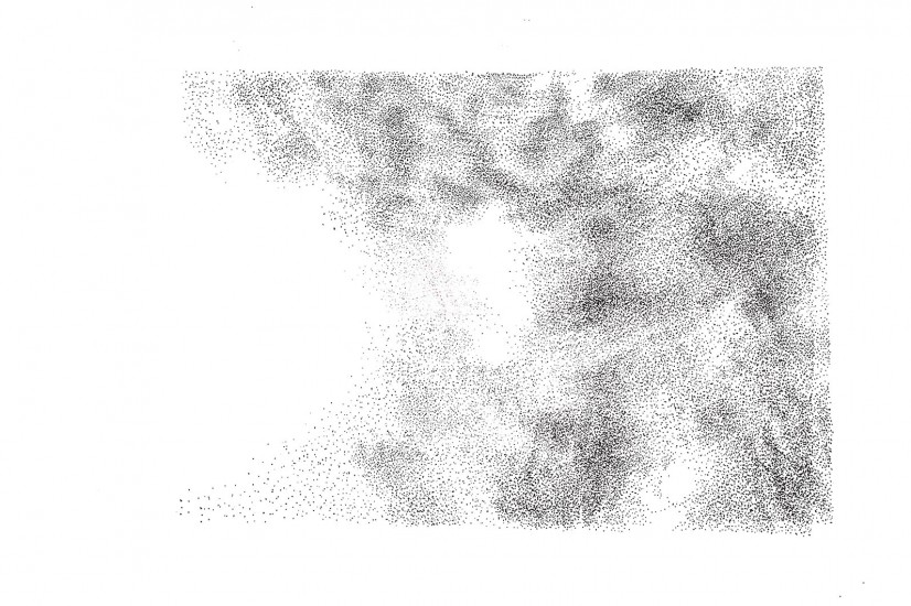 Owca II | litografia | 30x41cm | 2016