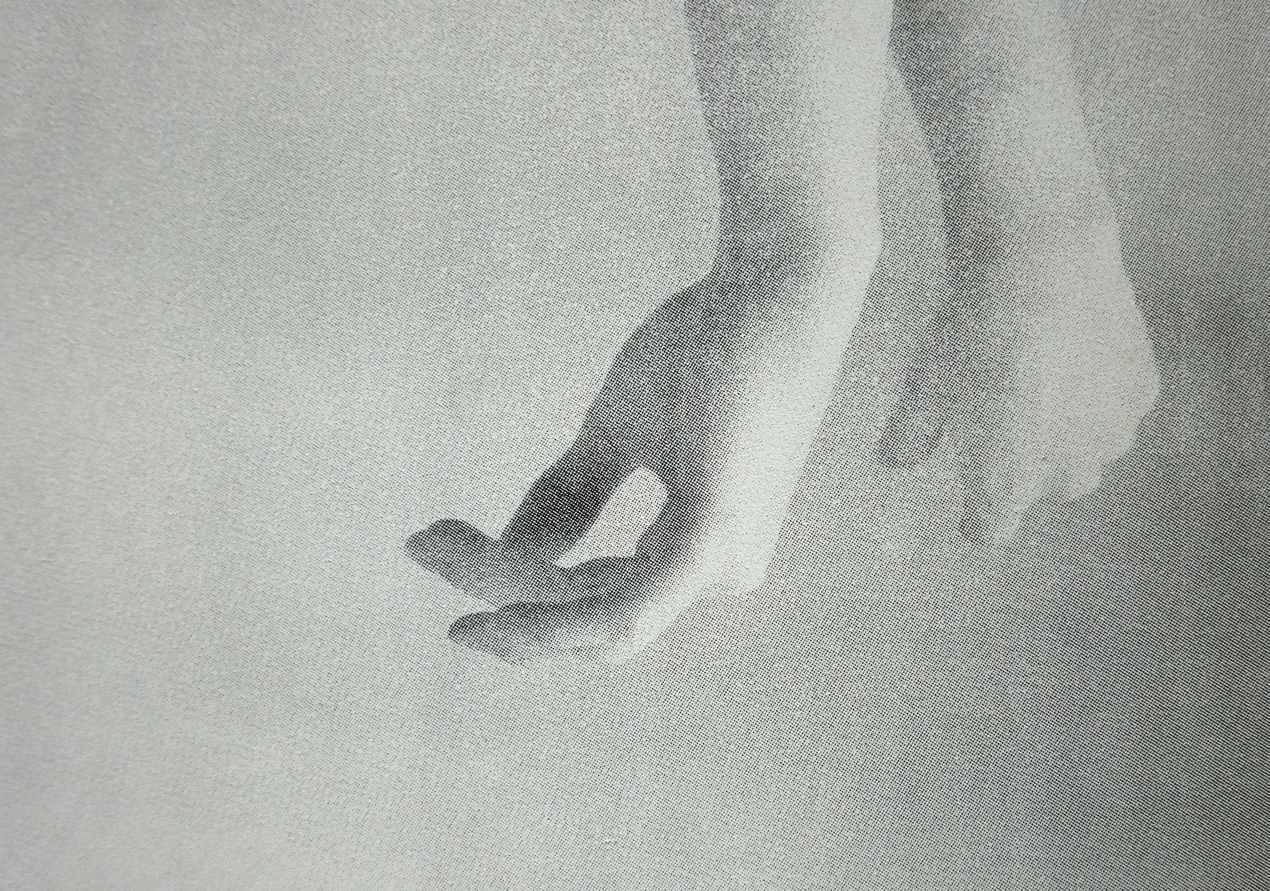 Magdalena Palmowska, Ciało-detal 1, serigrafia