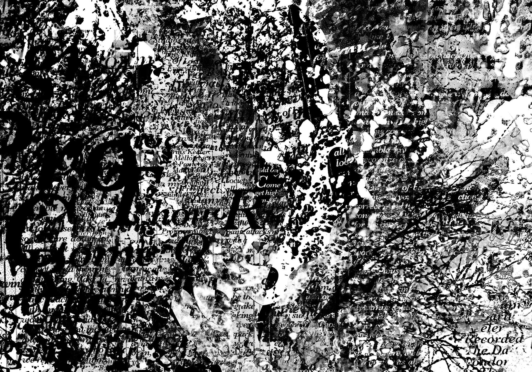 Peryferia słów XVII, druk cyfrowy, 70 x 100 cm, 2018
