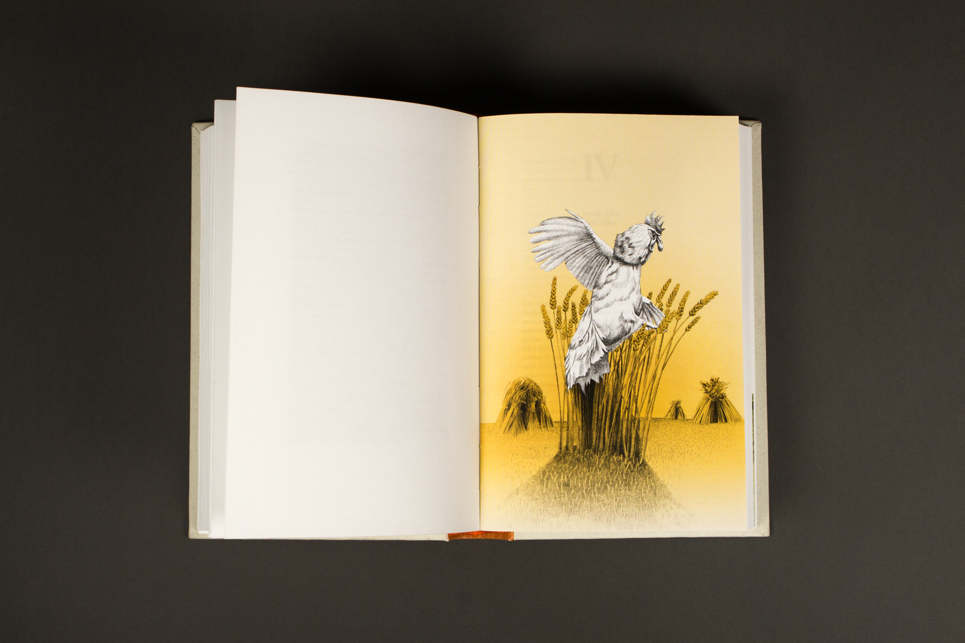 „Ziemia zgryzoty” książka, ilustracje, druk cyfrowy
