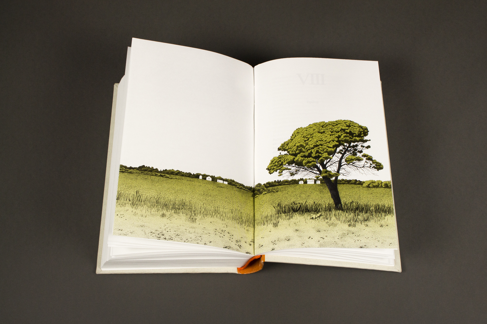 „Ziemia zgryzoty” książka, wyklejka przednia, druk cyfrowy